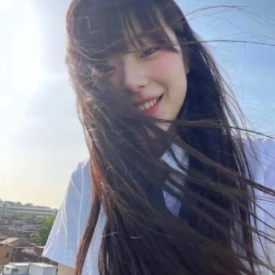 大象之梦
